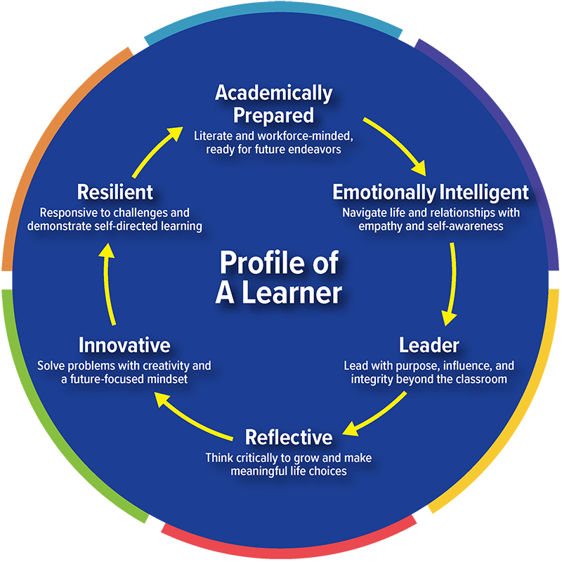 Wheel illustration of NNPS Profile of a Learner