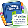 Vocabulary